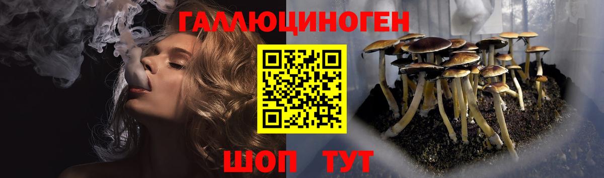 Псилоцибиновые грибы GOLDEN TEACHER  Псилоцибиновые грибы Magic Shrooms  Холмск  Вход с VPN 