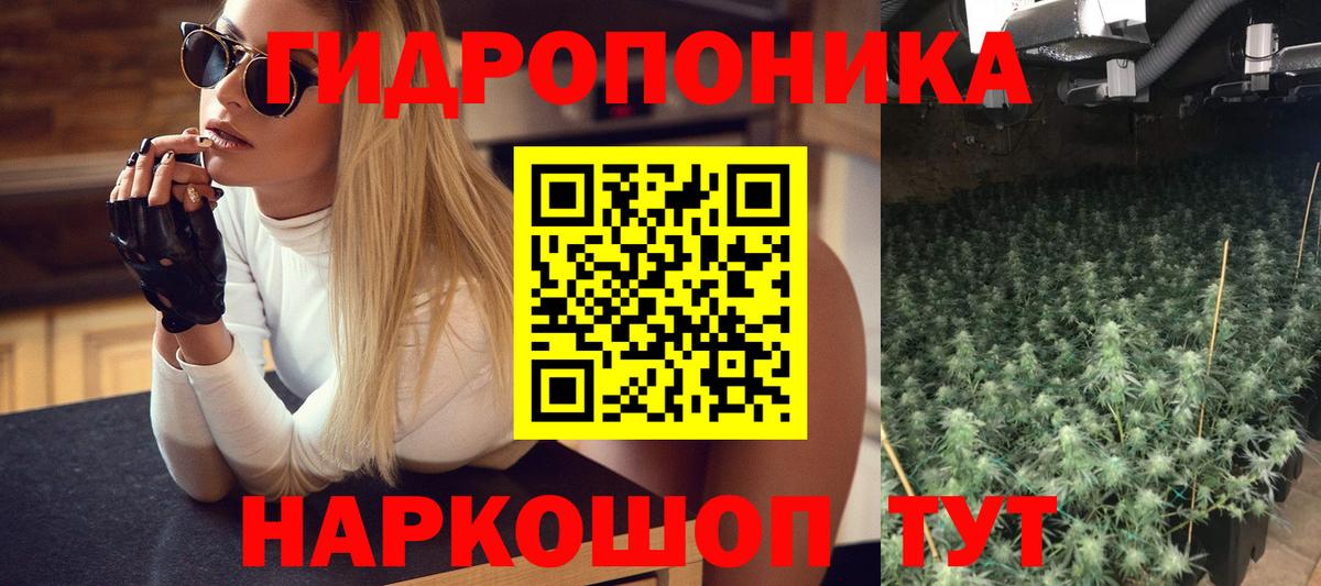 Бошки Шишки тримм Холмск